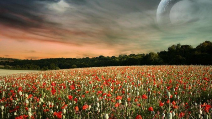 为什么章若楠和杨超越长得很像，男人却更喜欢章若楠，认为有女人味，而觉得杨超越像小女孩？